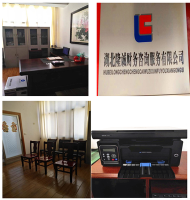 湖北隆誠財務咨詢服務 專業賦能，助力企業穩健發展