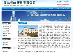 桂林網站建設成功案例 | 激光網絡 一站式互聯網服務解決方案